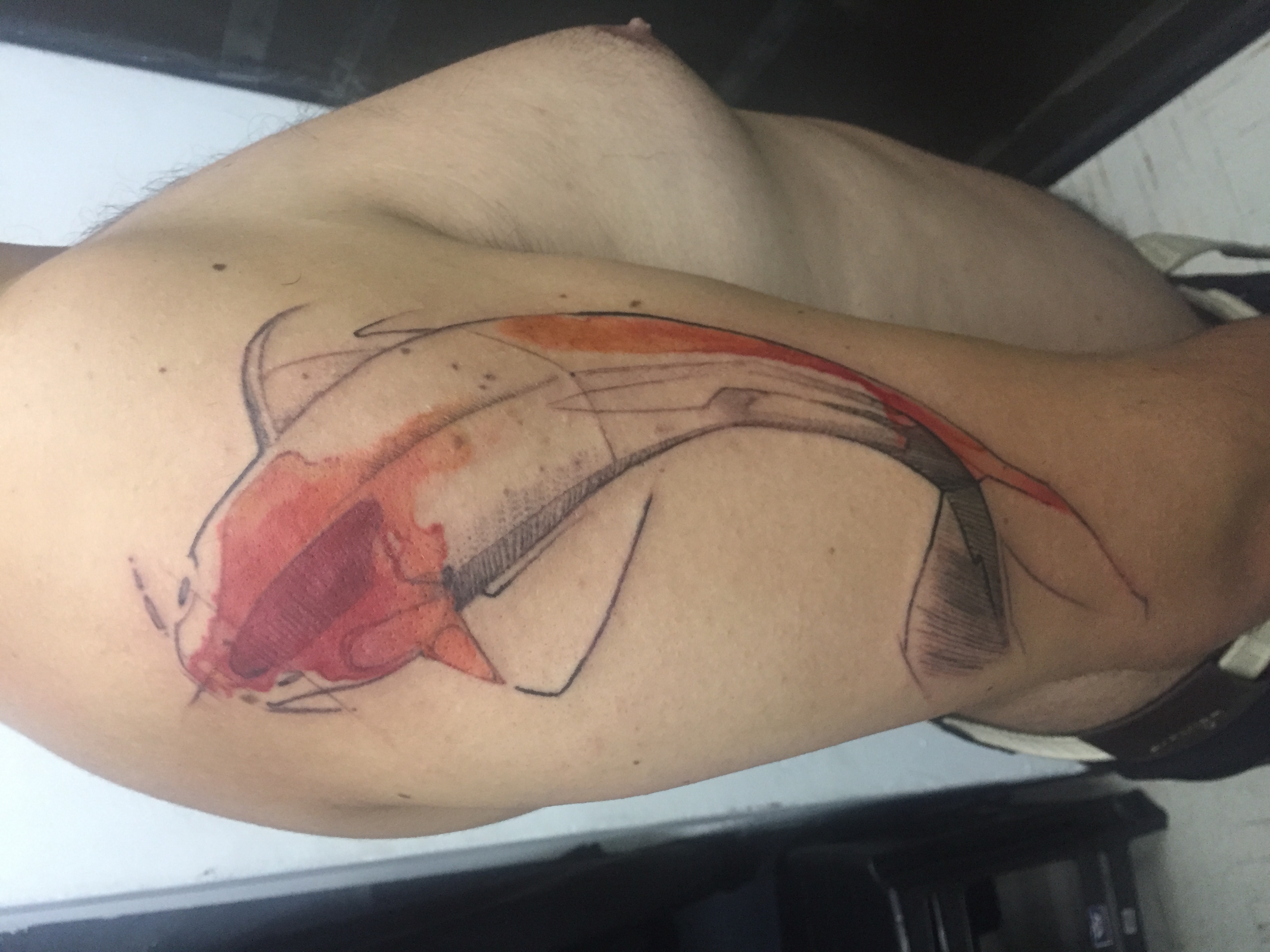 Acuarela 10