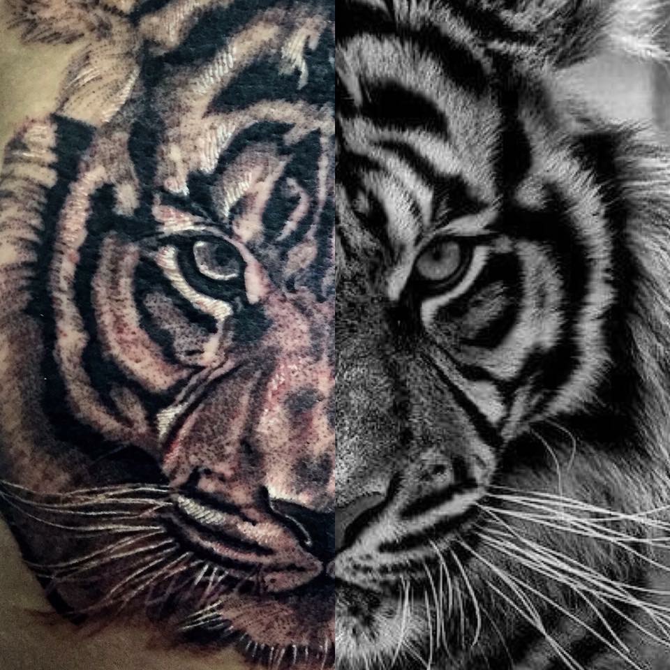Animales 1