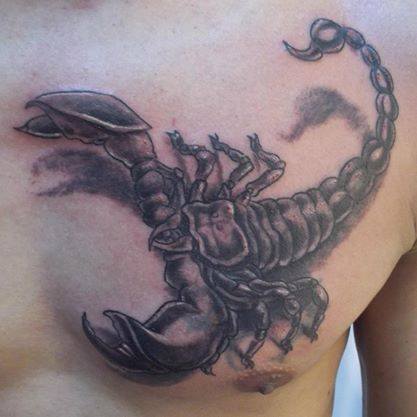 Animales 14