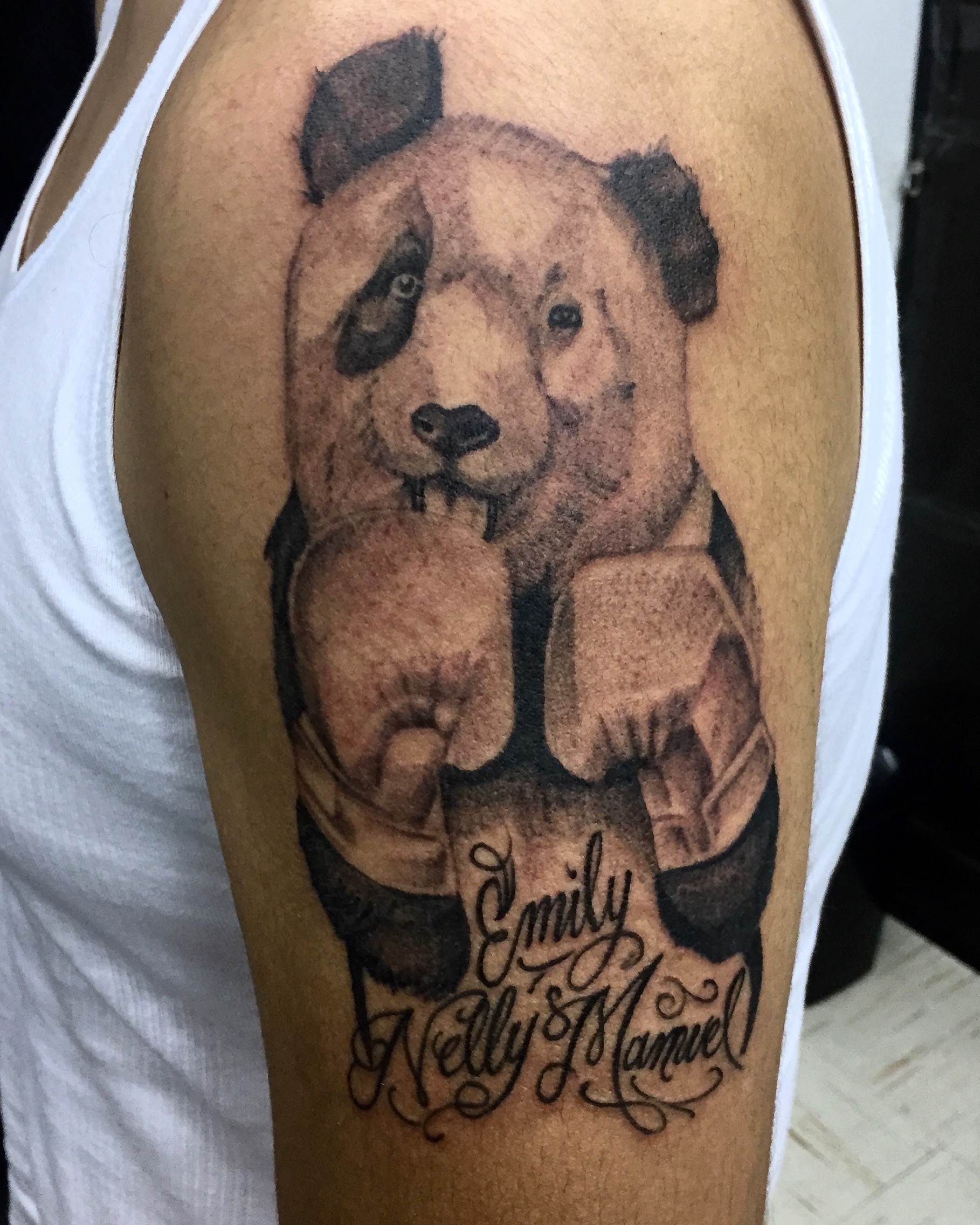 Animales 15