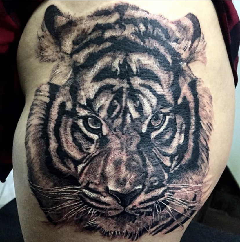 Animales 2