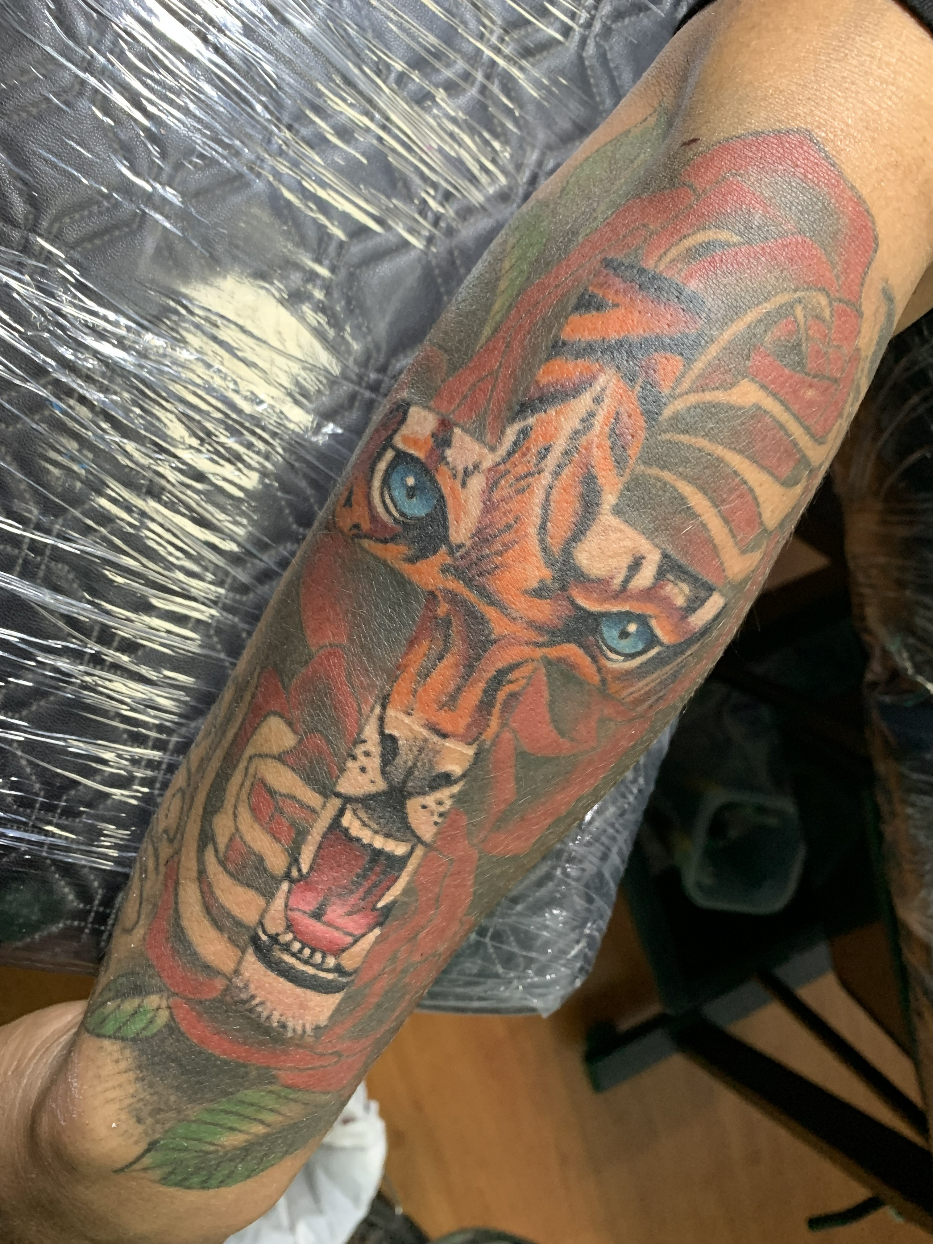 Animales 24