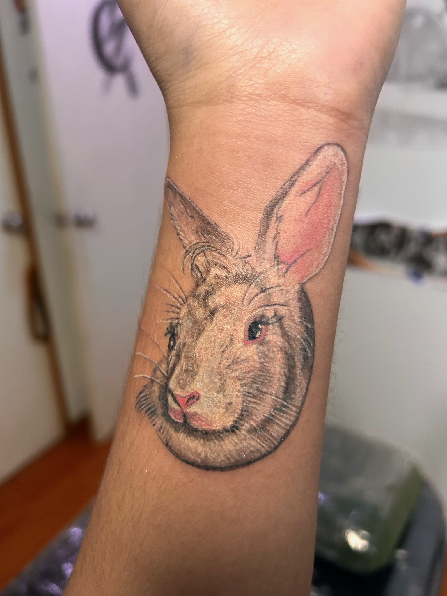 Animales 25