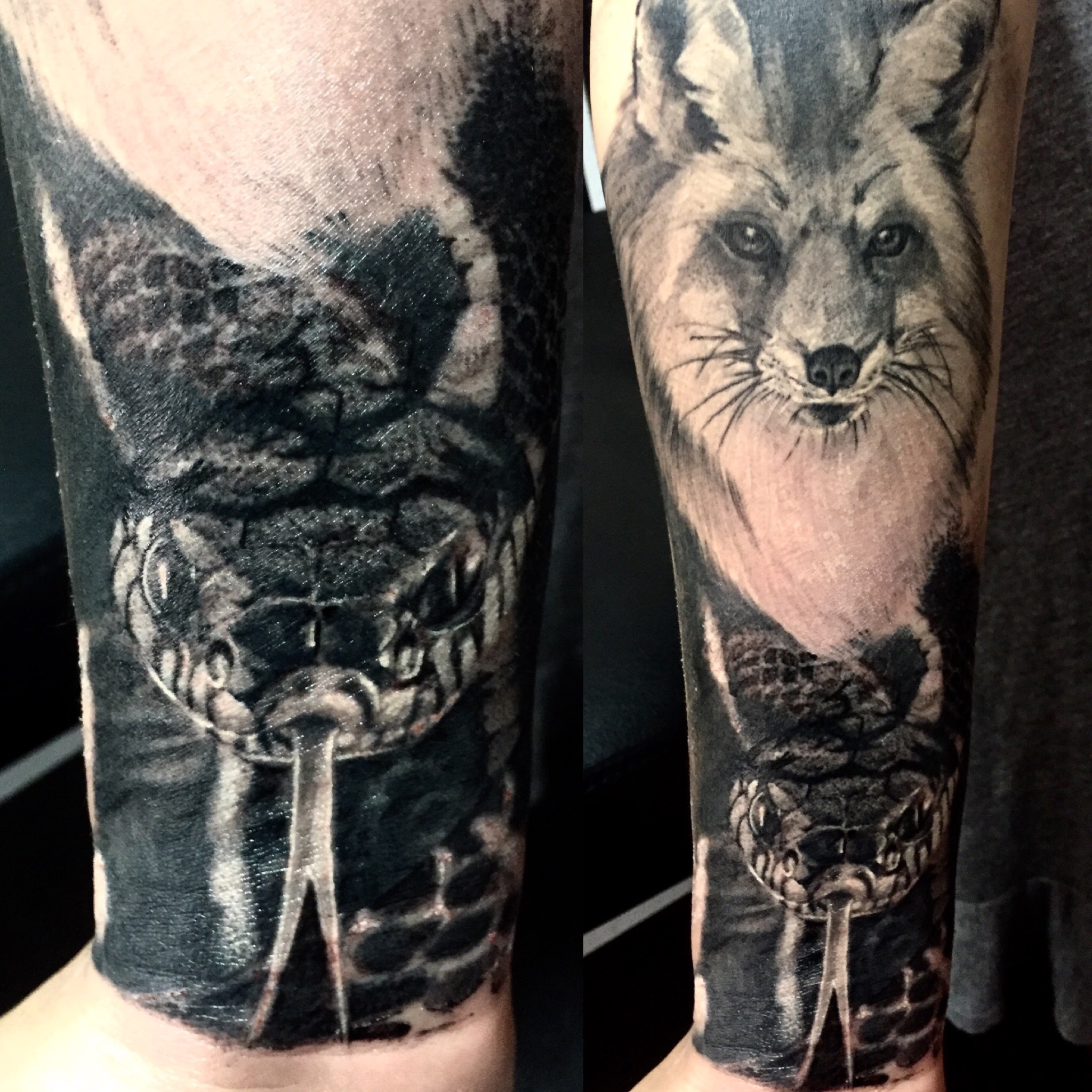 Animales 3