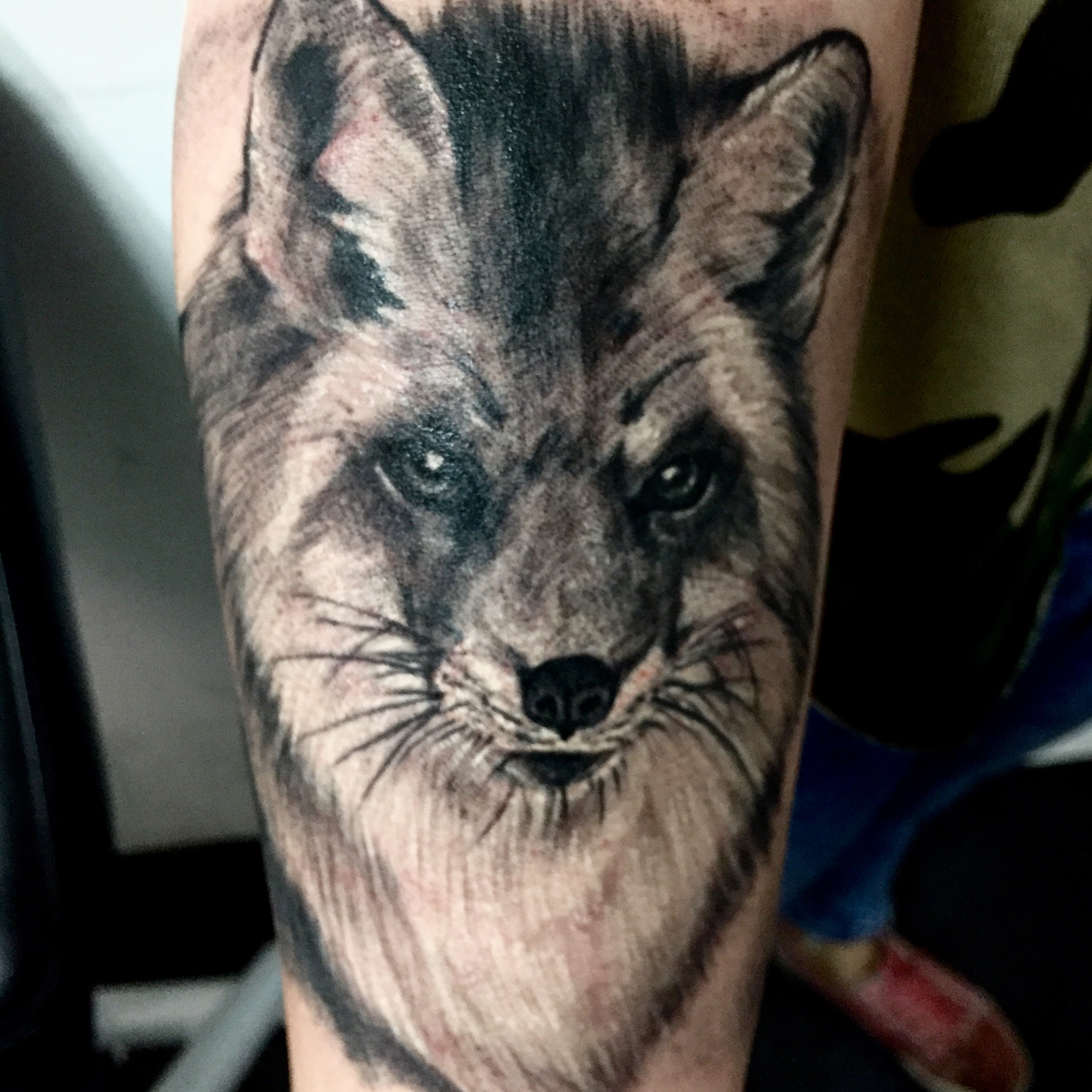Animales 5