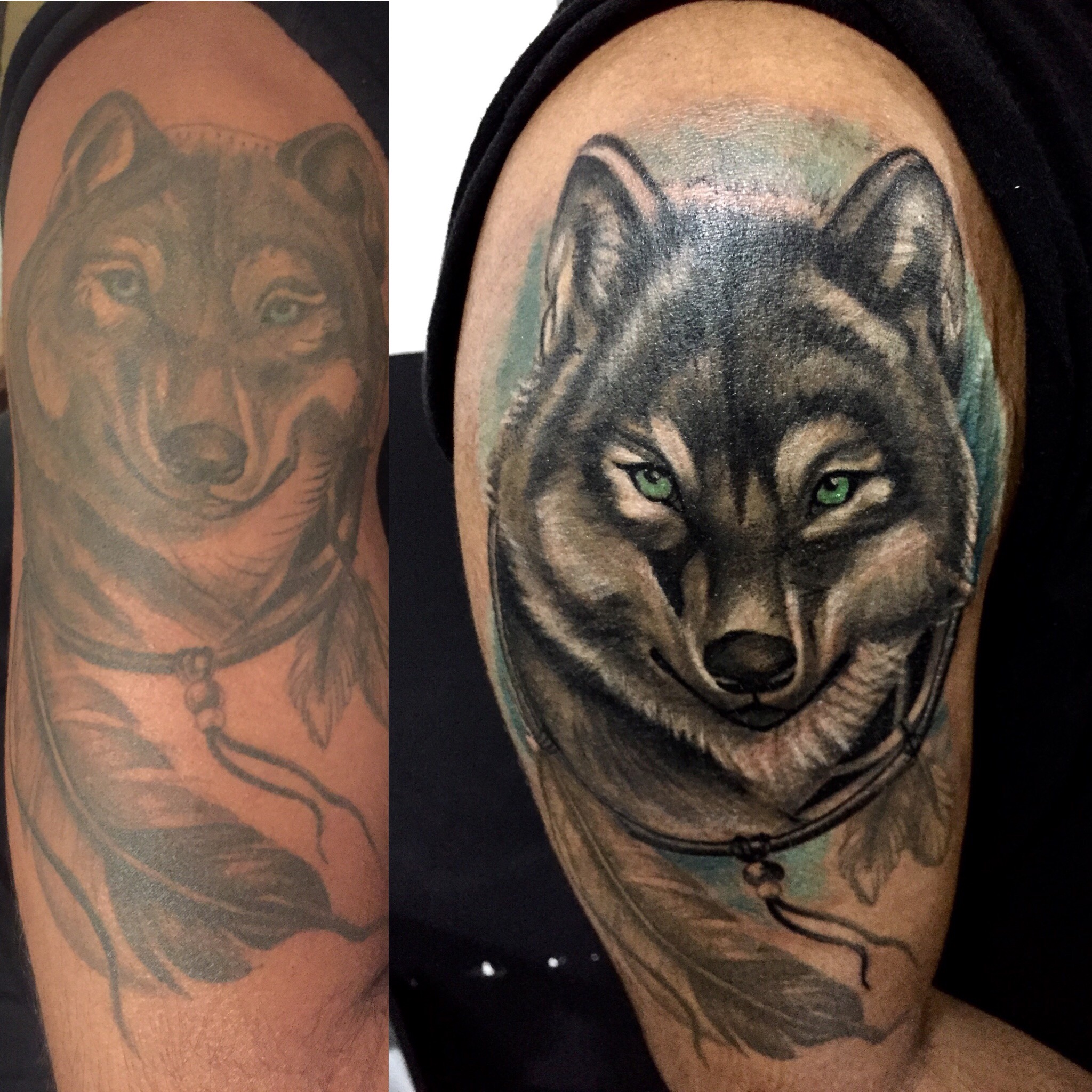 Animales 6