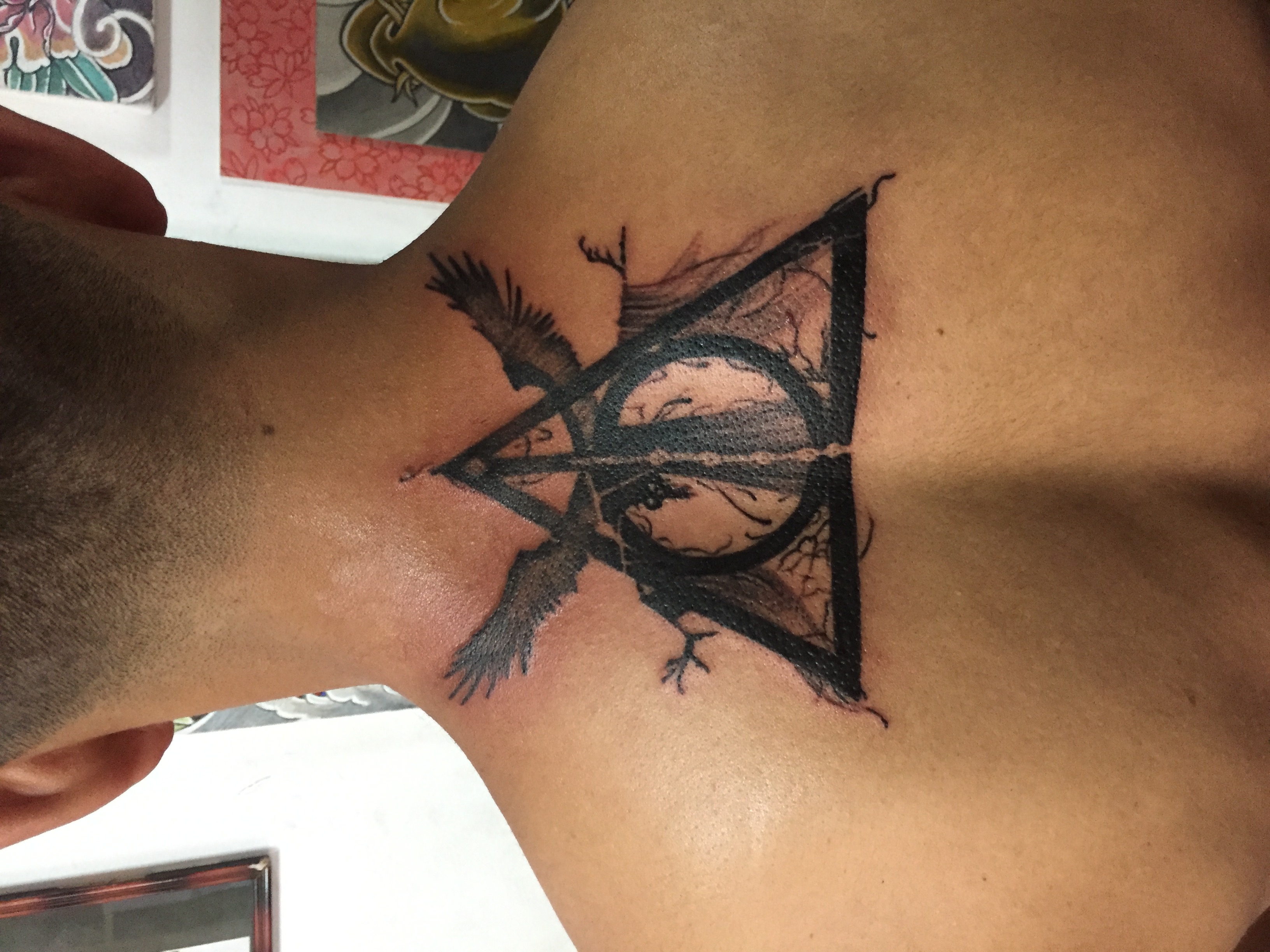 Anime 14