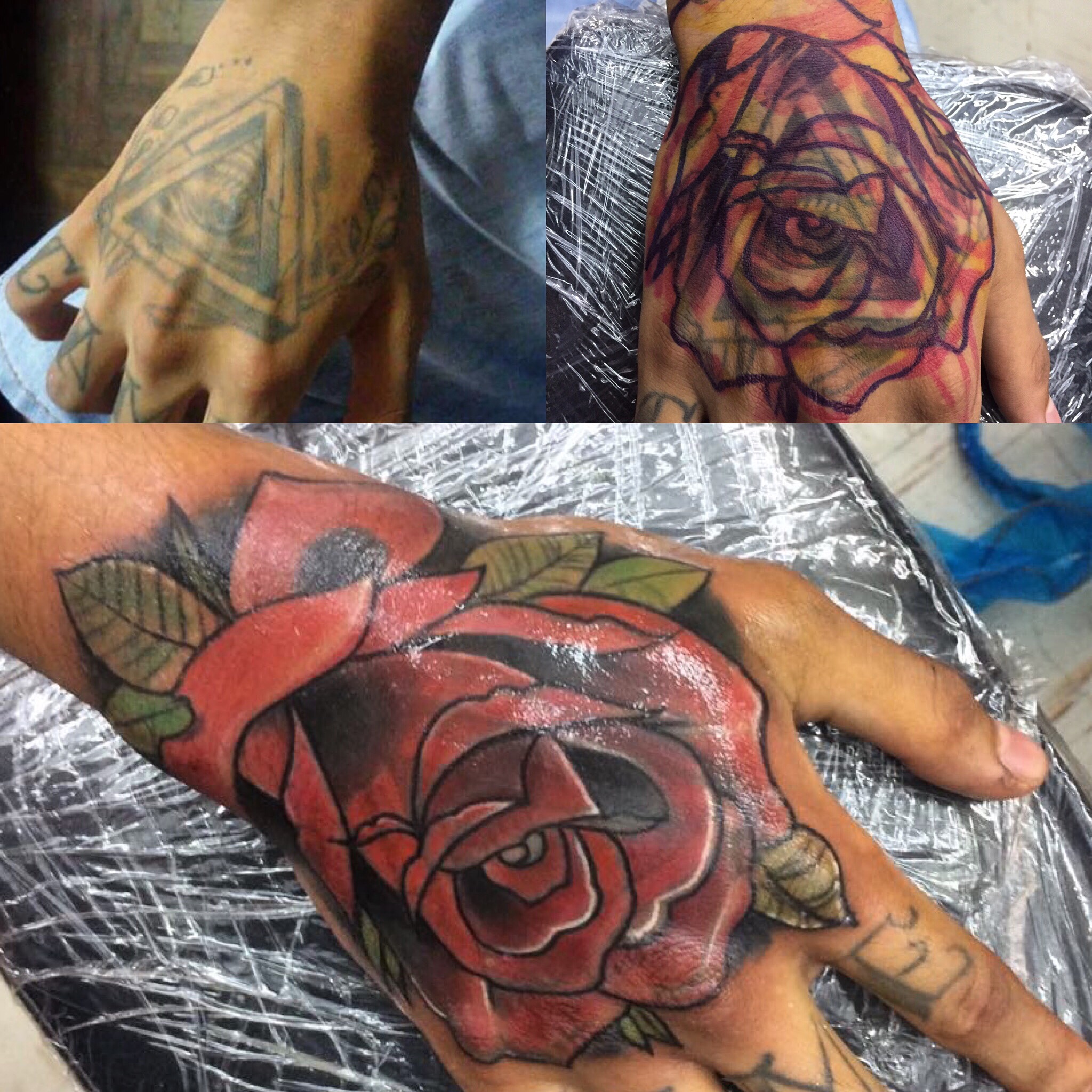 Flores 10