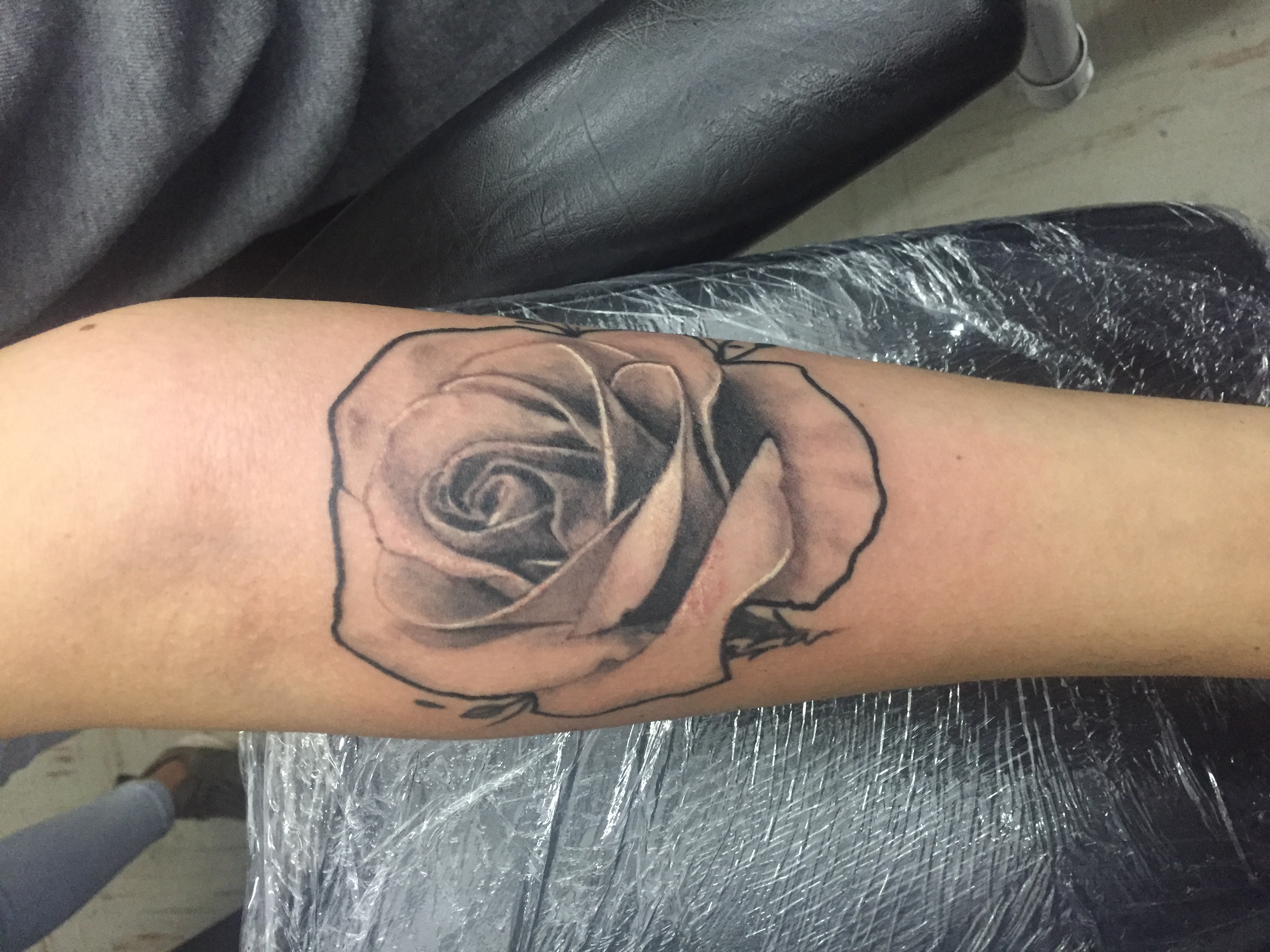 Flores 13
