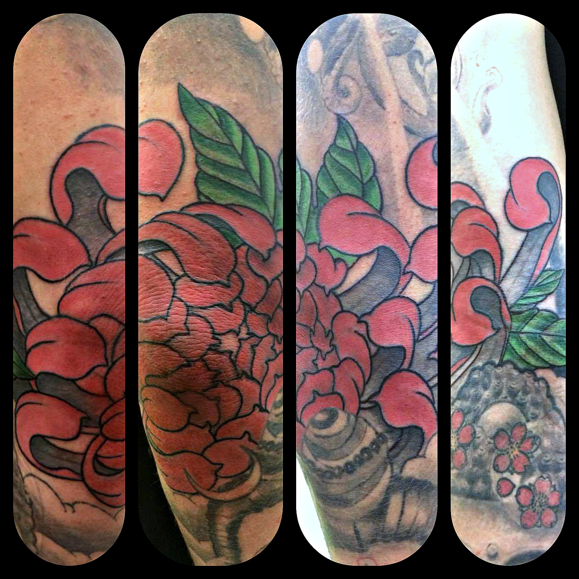 Flores 16