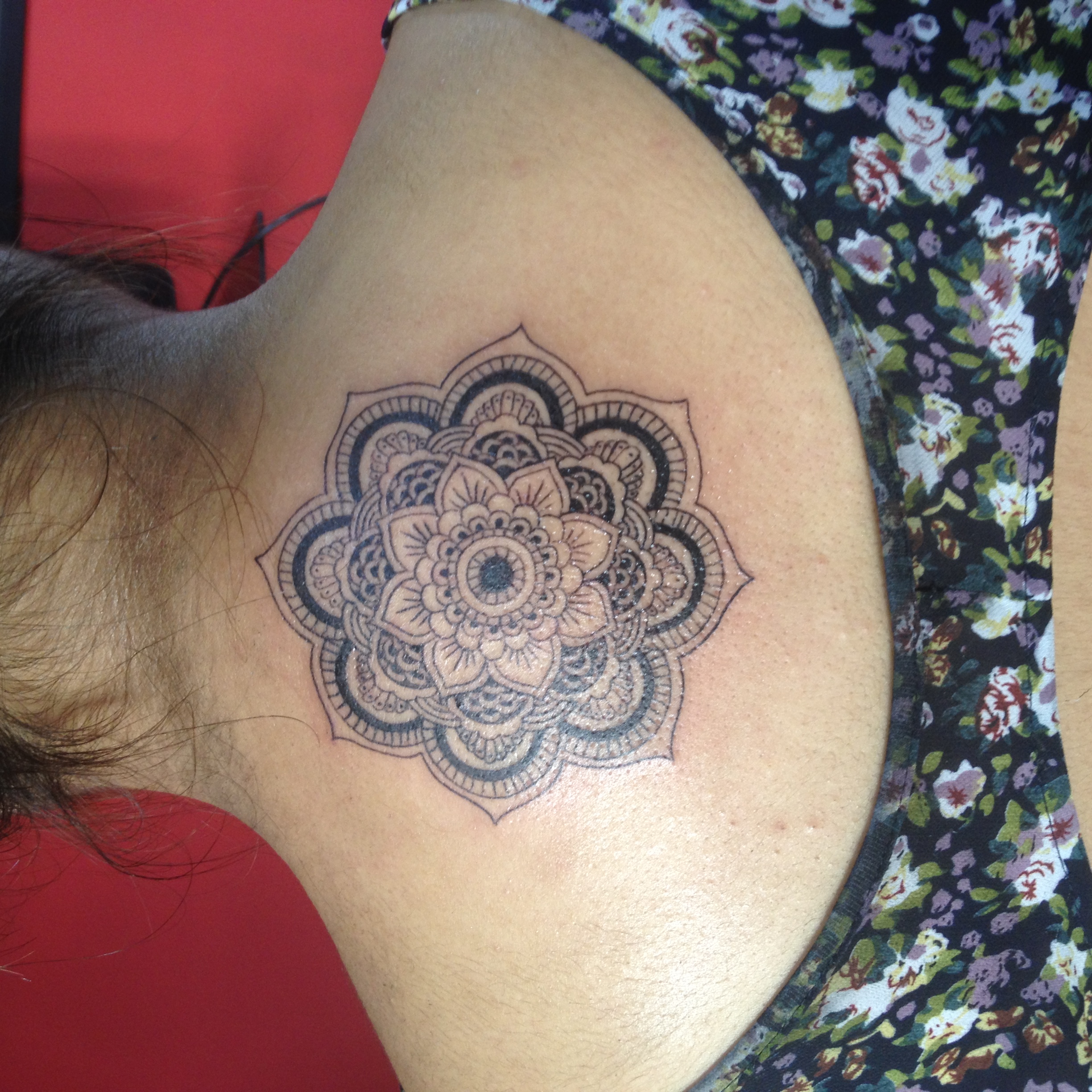 Flores 20