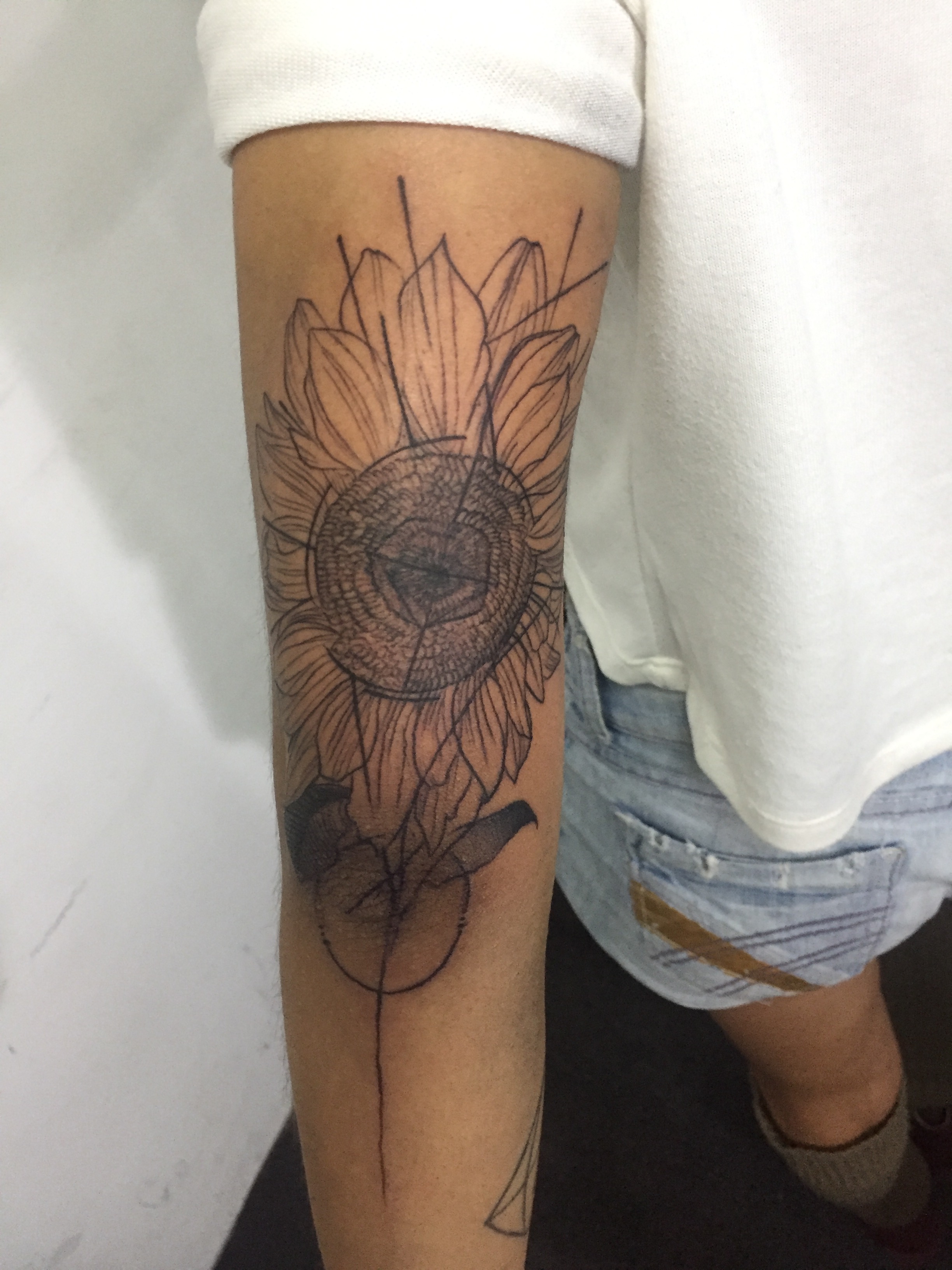 Flores 21