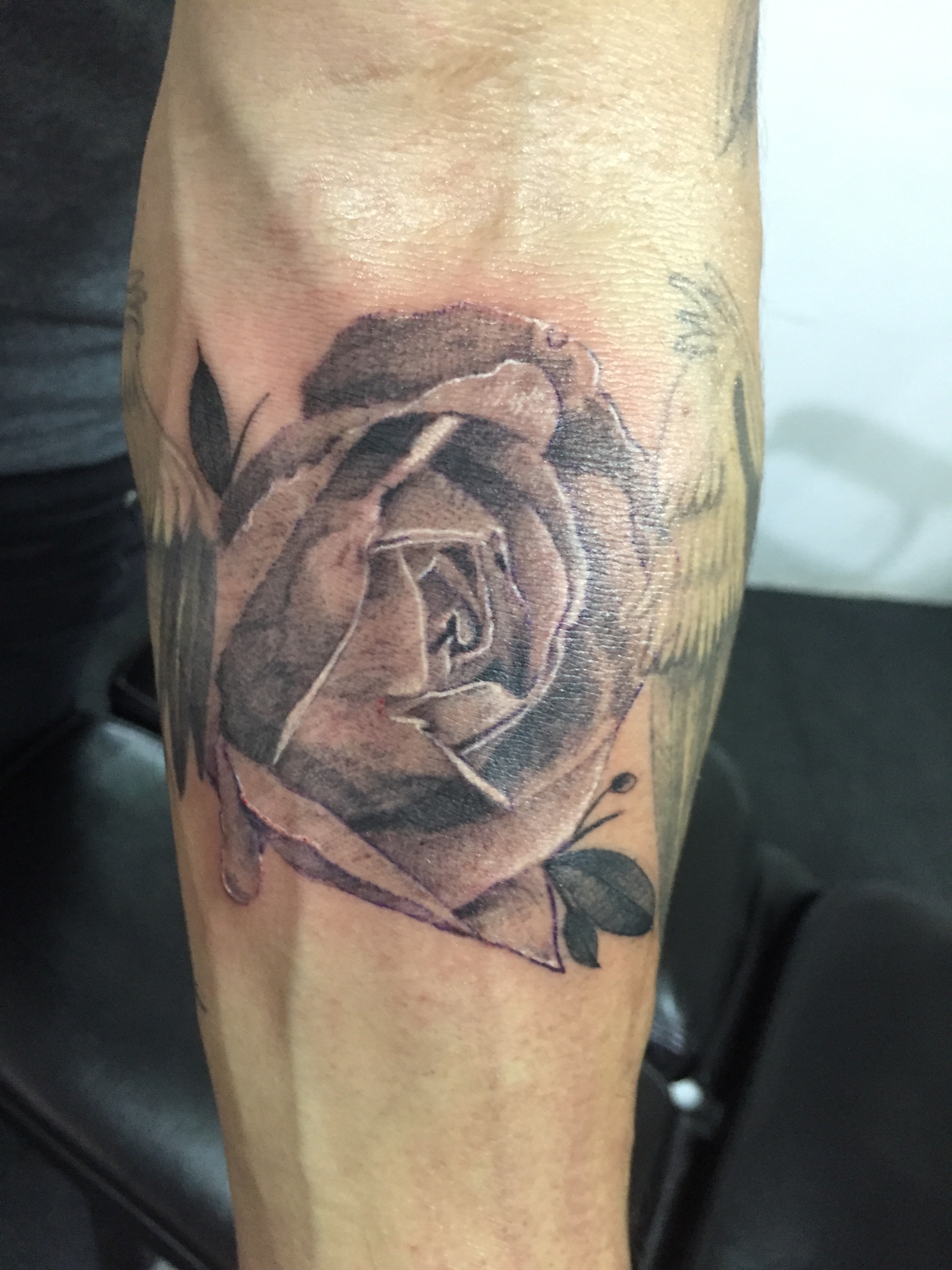 Flores 22