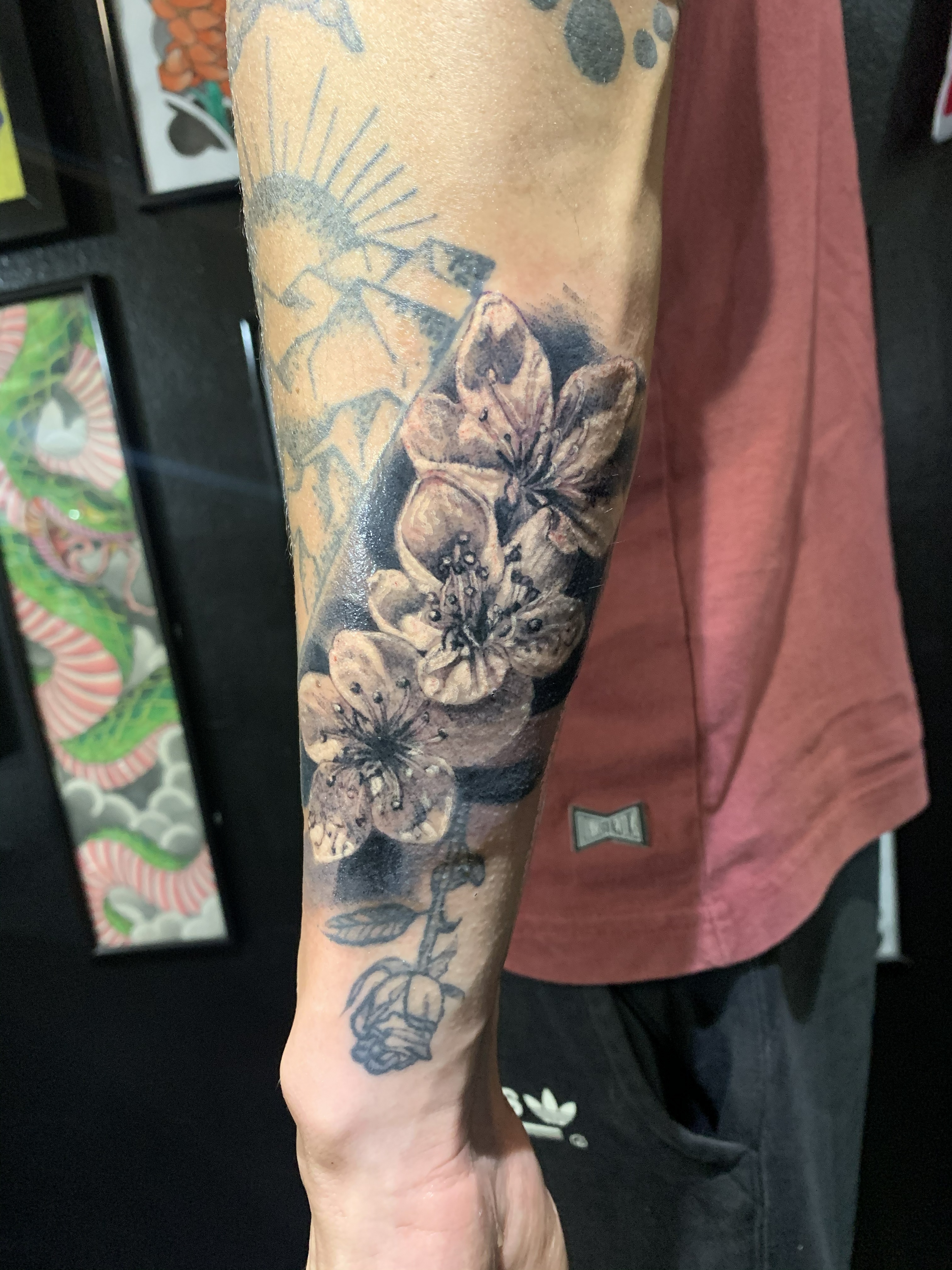 Flores 23