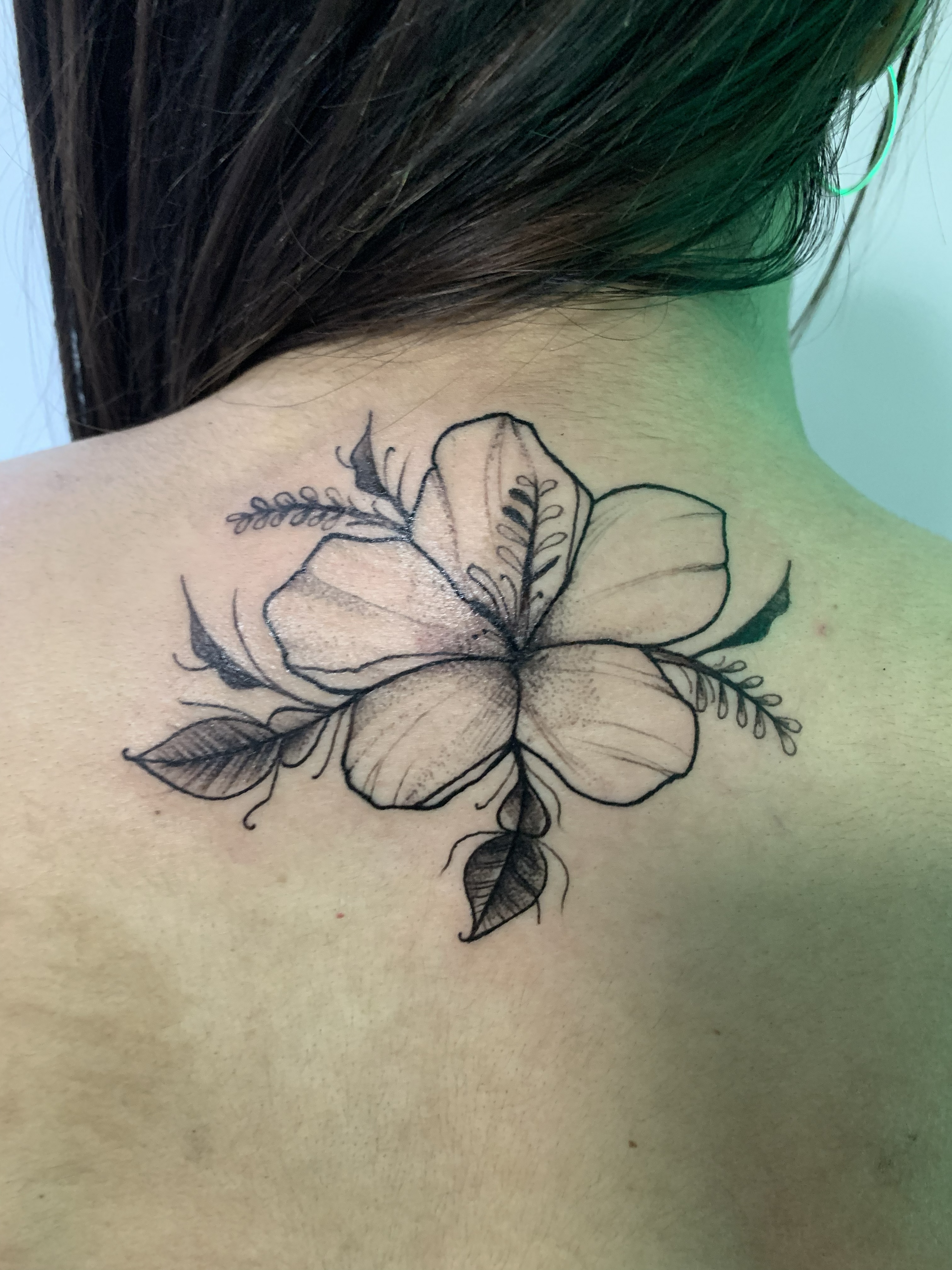 Flores 24