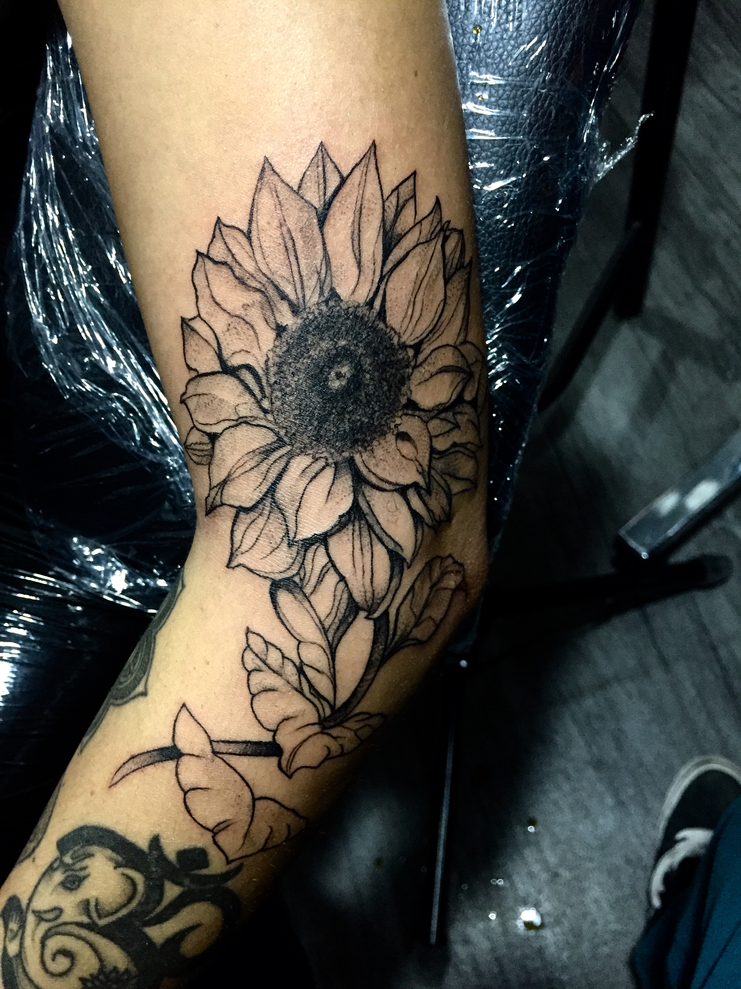 Flores 6