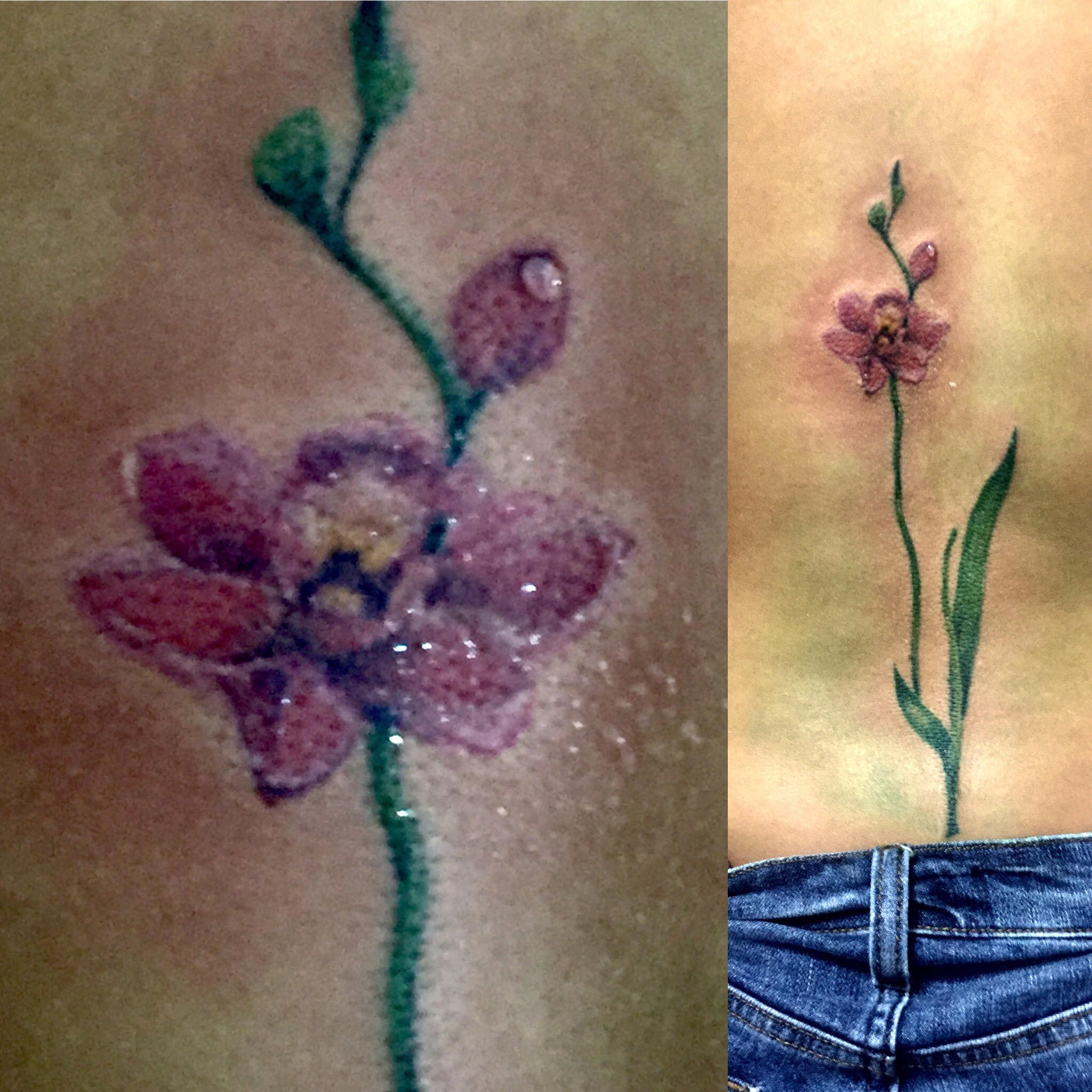 Flores 9